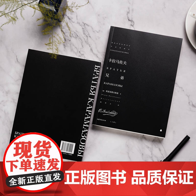 卡拉马佐夫兄弟全2册 陀思妥耶夫斯基耿济之译 俄罗斯经典文学世界名著故事课外阅读书籍罗翔老师推 荐初高中寒暑假读物书目高清大图