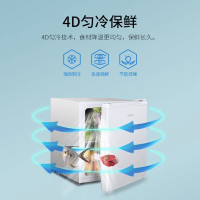 澳柯玛45升美妆母婴白色单门小型电冰箱冷藏节能租房宿舍单人用