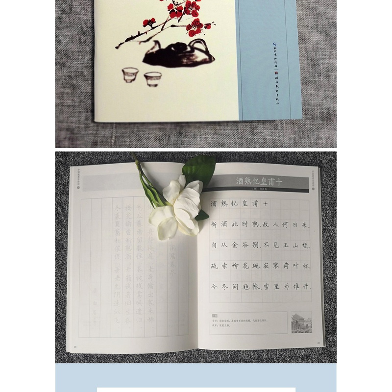 [正版]飞花令中国绝美古诗词冬 田英章田雪松硬笔字帖 钢笔硬笔楷书练字帖的诗词练字本湖北美术出版社