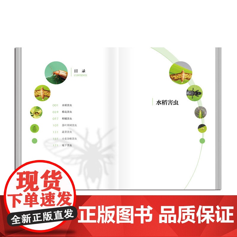 农业害虫识别与防治原色生态图谱 一线农业生产者和科研人员参考 图文并茂 可读性强 实用性强 广东科技出版店高清大图