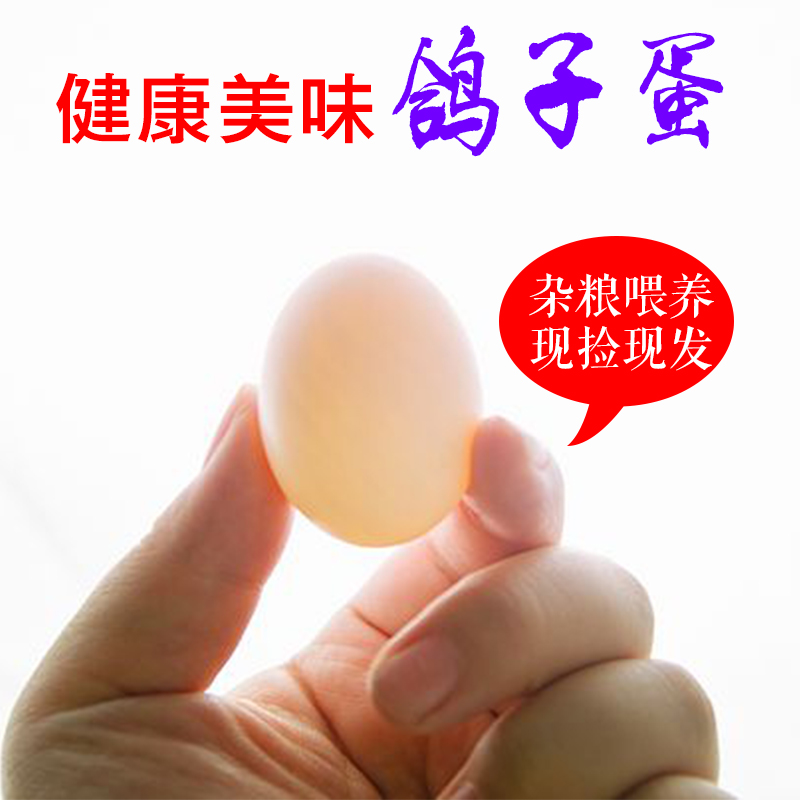 [熊猫鸟]新鲜鸽子蛋30枚 17-22g/个 农家散养杂粮土鸽蛋白鸽蛋宝宝辅食高清大图