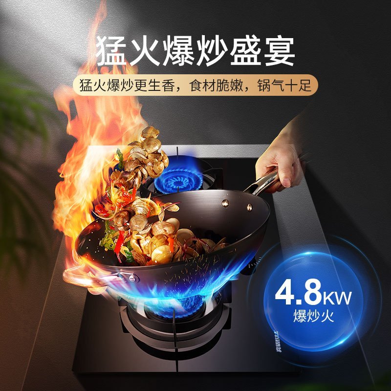 真情好太太燃气灶双灶家用天然气 4.8kW猛火灶具 台式嵌入式煤气灶双灶 HTT-R02A 天然气(不含安装)