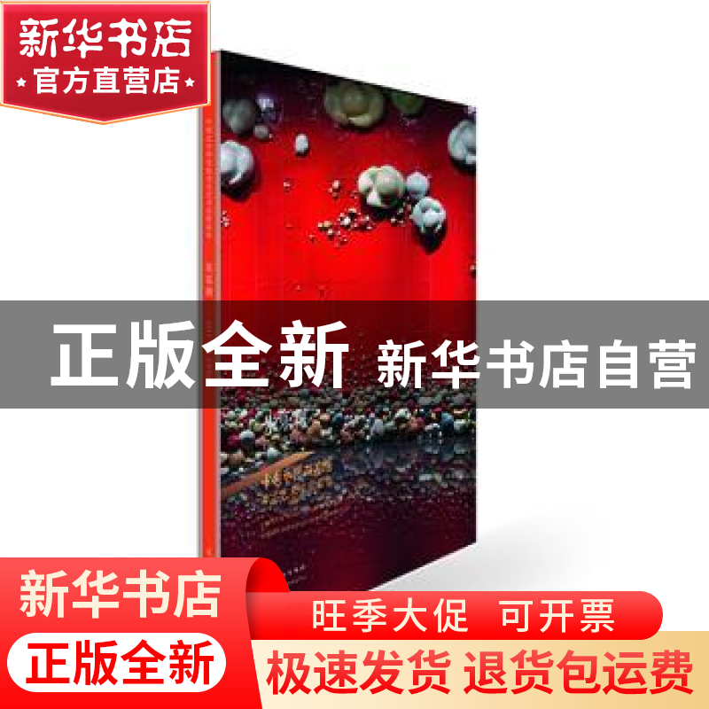 正版 中国艺术研究院著名艺术家精品集:朱乐耕:Zhu Le Geng 谭平