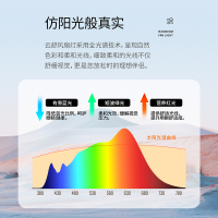 雷士照明IP65三防灯体风扇灯客厅餐厅卧室灯吊扇灯家用吊灯简约100瓦照明隐形风扇灯