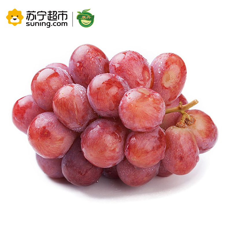 展卉 智利红提 提子 进口葡萄 500g装 新鲜水果