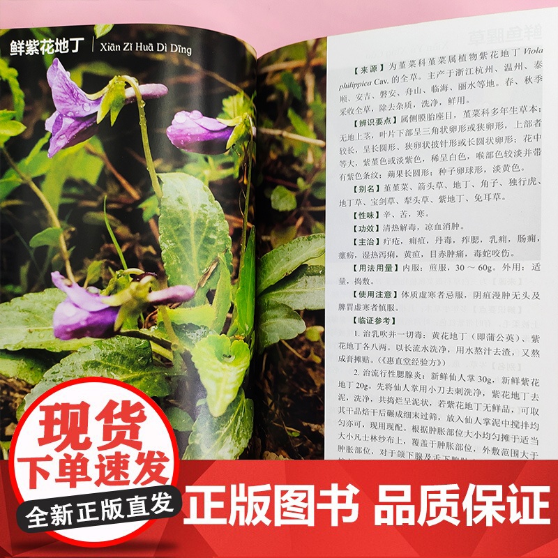 浙江临床常用鲜品中草药 鲜品中草药 临床中草药 中草药辨识 中草药采集 鲜药基础研究制剂工艺及加工技术 鲜药临证参考应用高清大图