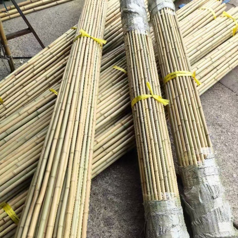 礼千初 防腐竹竹庭院菜架阻断装潢天然竹室内竹竿 100根装高清大图