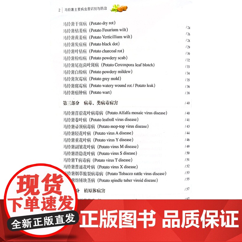 马铃薯主要病虫害识别与防治 张若芳 编 中国农业出版社9787109199866高清大图