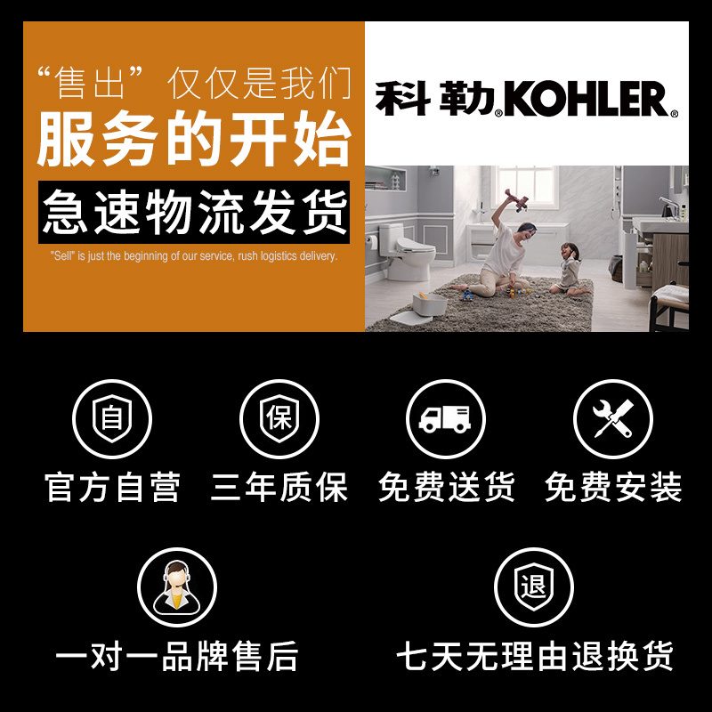 科勒淋浴花洒手持卫浴大喷头搭配连体马桶坐便器套装K-76536+5171T