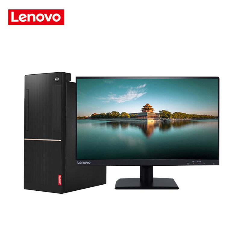联想(Lenovo)扬天T4900d商用台式电脑+23英寸屏(I5-7400 4GB 1TB 1G独显 DVD)