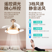 奥克斯（AUX）风扇灯餐厅吊扇灯家用电风扇吊灯客厅卧室厨房变频隐形扇 42寸宝石树白遥控
