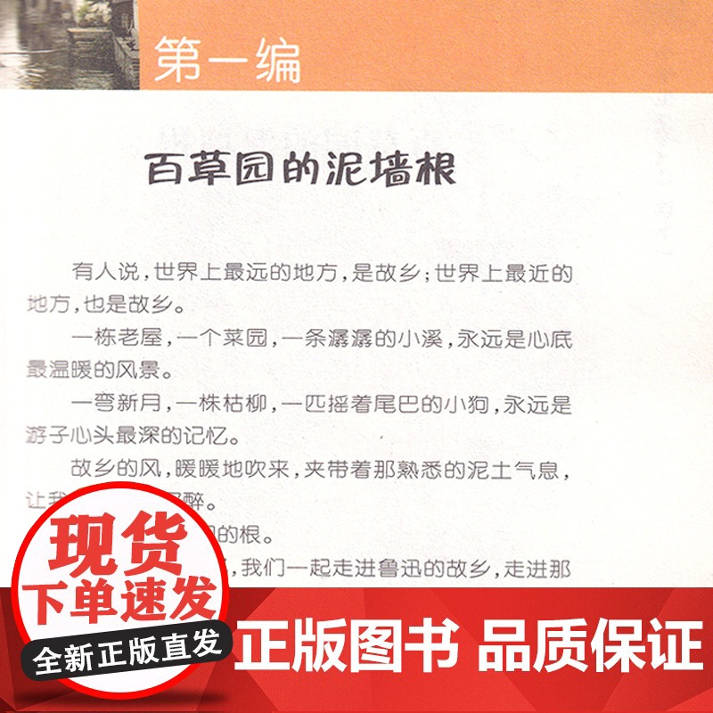 小学生鲁迅读本浙江少年儿童出版社六年级必读的课外书鲁迅杂文集作品集社戏儿童文学名家经典书系9-14岁读物四五年级课外阅读高清大图