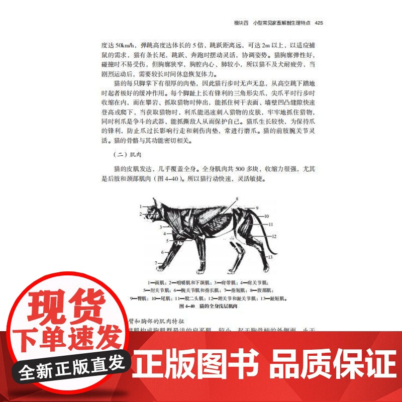 教材.动物解剖生理第二版四川省十四五职业教育省级规划教材中国轻工业十三五规划教材张平唐丽江主编出版年份2024年最新印刷高清大图