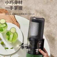 九阳(Joyoung) 榨汁机原汁机家用汁渣分离果汁机多功能鲜榨炸水果炸汁机全自动迷你便携果蔬料理机 LZ198