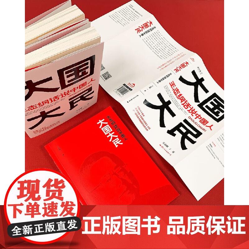 正版!大国大民 王志纲话说中国人 读懂中国读懂中国人读懂中国社会运作的底层逻辑 大国密码大民须知 中国国民性文化正版高清大图