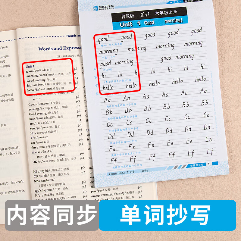6-9年级 衡水体 五四学制鲁教版英语课堂六七八九年级上册下册英语课文教材同步初中学生英语字帖英语临摹练高清大图
