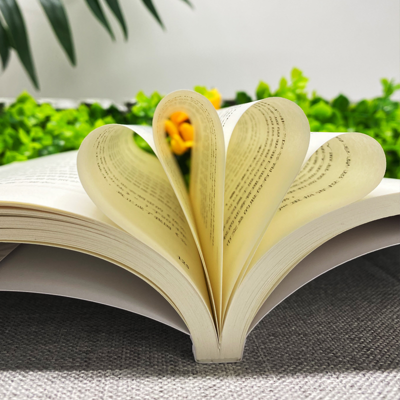 [正版]全3册 控制权顶层设计老板财务利润管控人人都是合伙人 制度企业管理领导力从零开始学创业经管书财务管理审计税收知高清大图