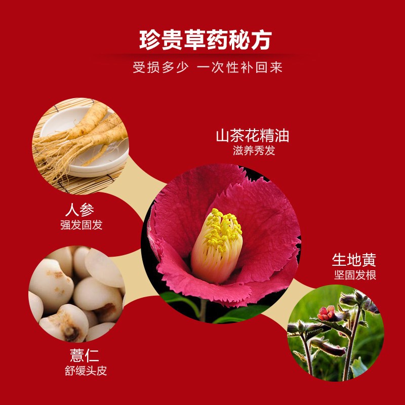 Amore 爱茉莉 吕 洗发水/露 防脱柔顺洗护系列 红吕染烫修复损伤洗发水 500ml 韩国进口