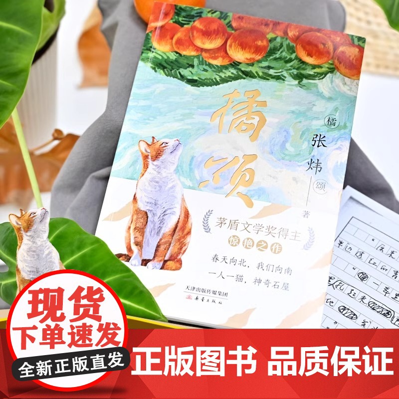 [全4册]橘颂正版 茅盾文学奖得主张炜著 6-12岁小学生探险故事儿童文学课外阅读书籍青少年成长励志读物高清大图