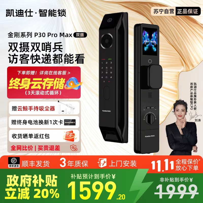 凯迪仕P30ProMax双摄