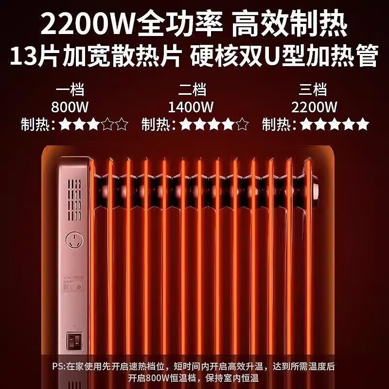先锋油汀DYT-Z9R(DS2073R)高清大图