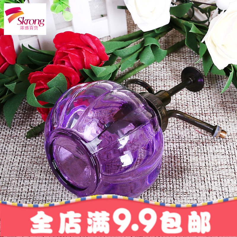 复古园艺浇花彩色小喷壶多肉植物喷水壶家用手压式喷雾瓶洒水壶