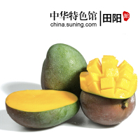 【中华特色】田阳馆 凯特芒果大果9斤（单果约500-1000g）新鲜水果原产地现摘现发 华南