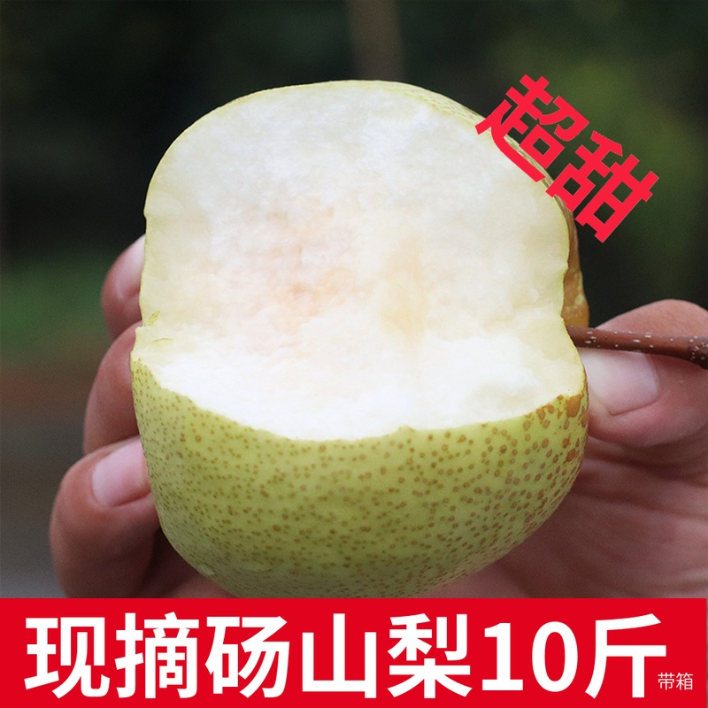 梨子新鲜10斤带箱正宗砀山梨酥梨贡梨当季水果雪梨整箱香翠冠 4250g 中果[三天内发货]