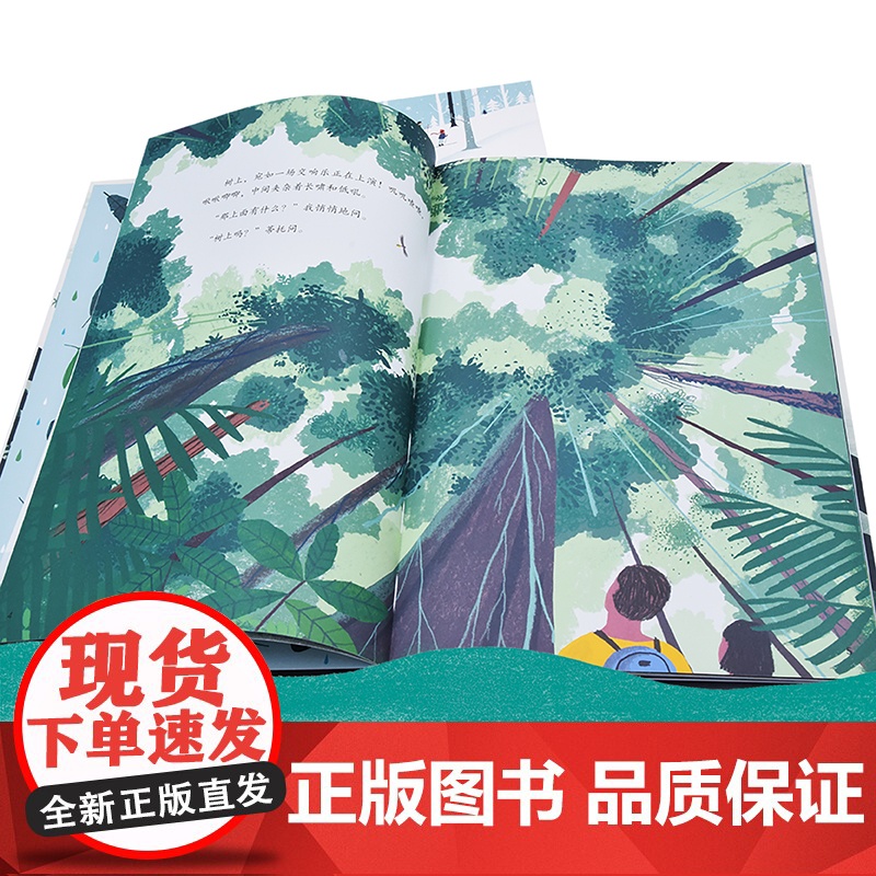 雨林里,枝叶间(让孩子从雨林的勃勃生机中汲取向上的生命力量)高清大图