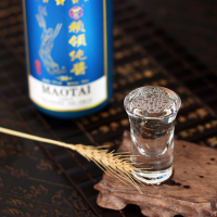 贵州赖领纯酱酱香型白酒53度纯粮食坤沙酒陈年原浆老酒500ml高档礼盒装