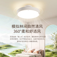 雷士照明无叶风扇灯儿童房卧室隐形2024年新款吸顶主卧房间电扇吊扇灯