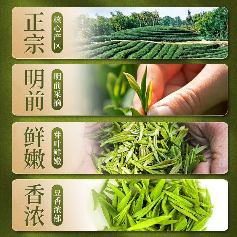 品如故CCJD-BLC-100g-2品如故茶叶绿茶特级龙井茶200g新茶明前嫩芽头采豆香型春茶新老包装 随机发货高清大图
