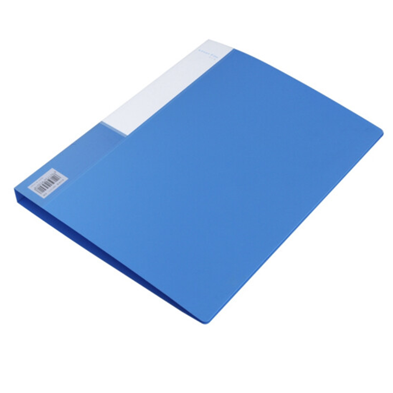 得力a4文件夹双强力夹资料夹插页试卷夹文件夹子办公用品双强力夹5302