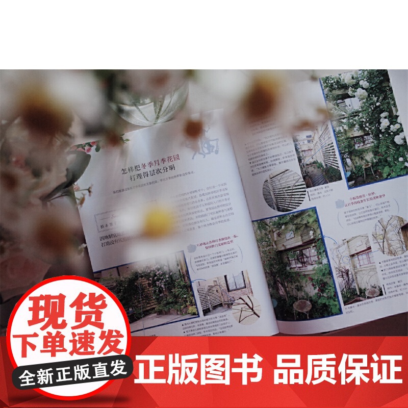 专家写给初学者的园艺技巧 正版书籍高清大图