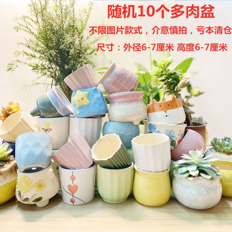 奥纳斯园艺用品多肉花盆陶瓷大号特价清仓透气创意室内肉肉植物小花盆批发大口径 价格图片品牌报价 苏宁易购艾维嘉居家日用专营店