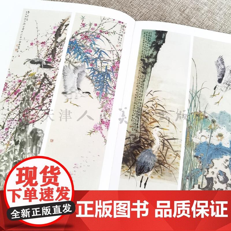 汤琳南 当代水墨画唯美新视界 水墨花鸟画册工笔画白描底稿画谱 国画写意画孔雀工笔画白描技法临摹范本 初学者绘画美术入门高清大图