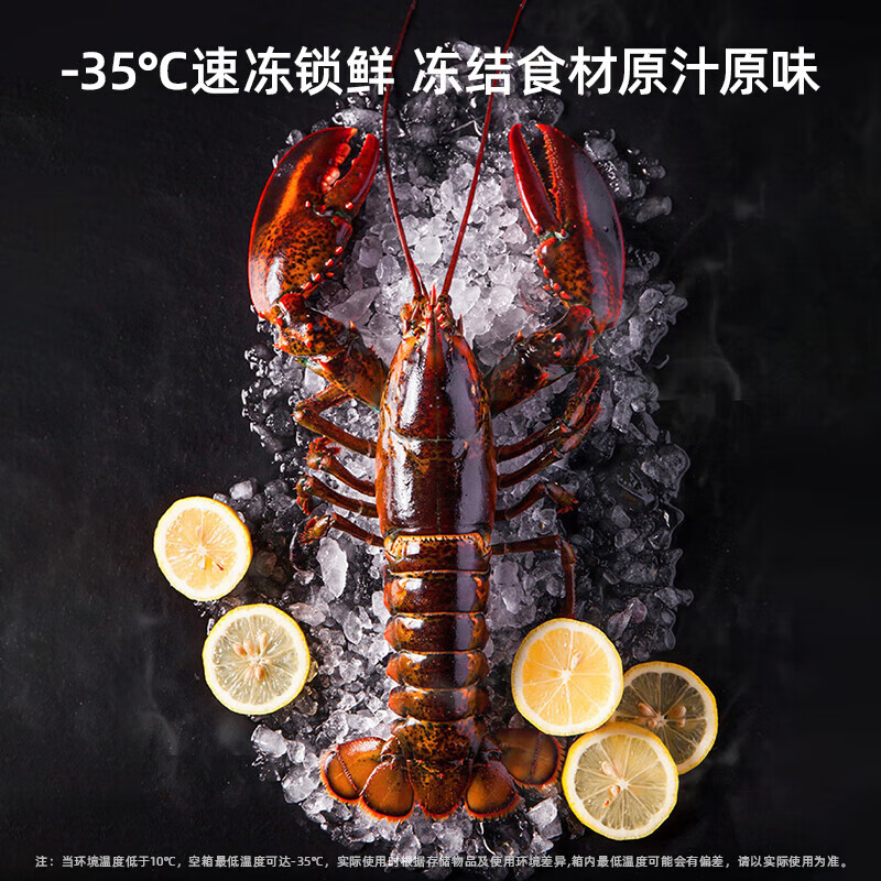 美菱(MELNG)冰柜300升卧式顶开门家用商用两用减霜冷藏冷冻大容量冷柜一级能效断电保鲜小冰箱BC/BD-300DT高清大图