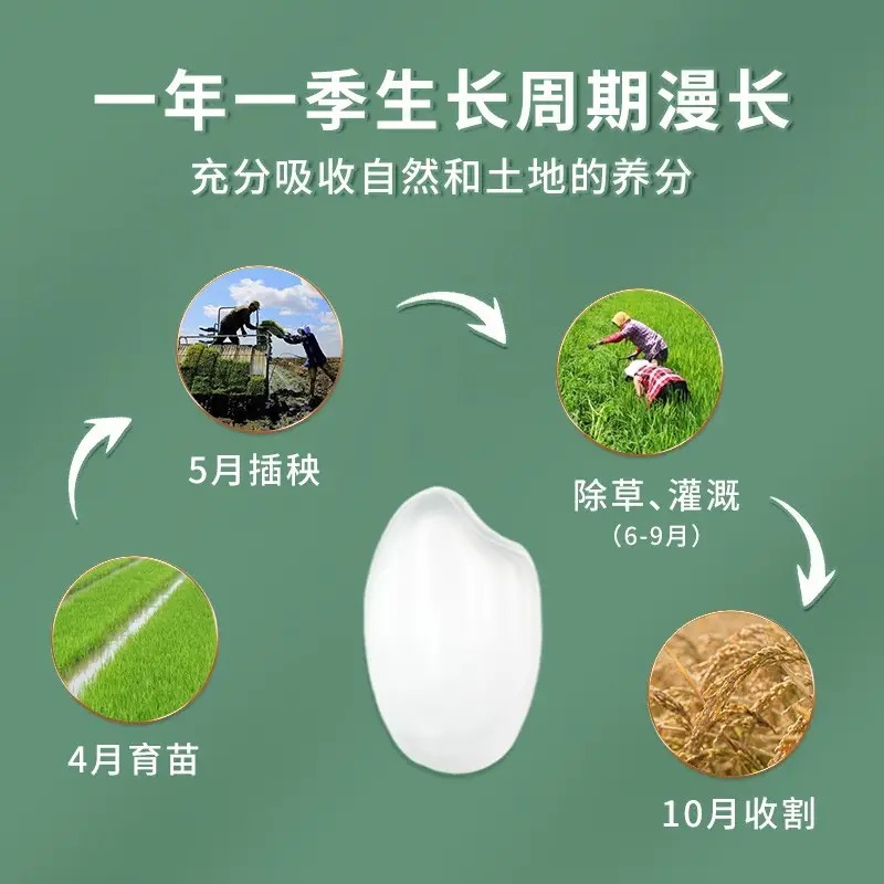 三人行 朝鲜族米东北大米珍珠米 2.5kg高清大图