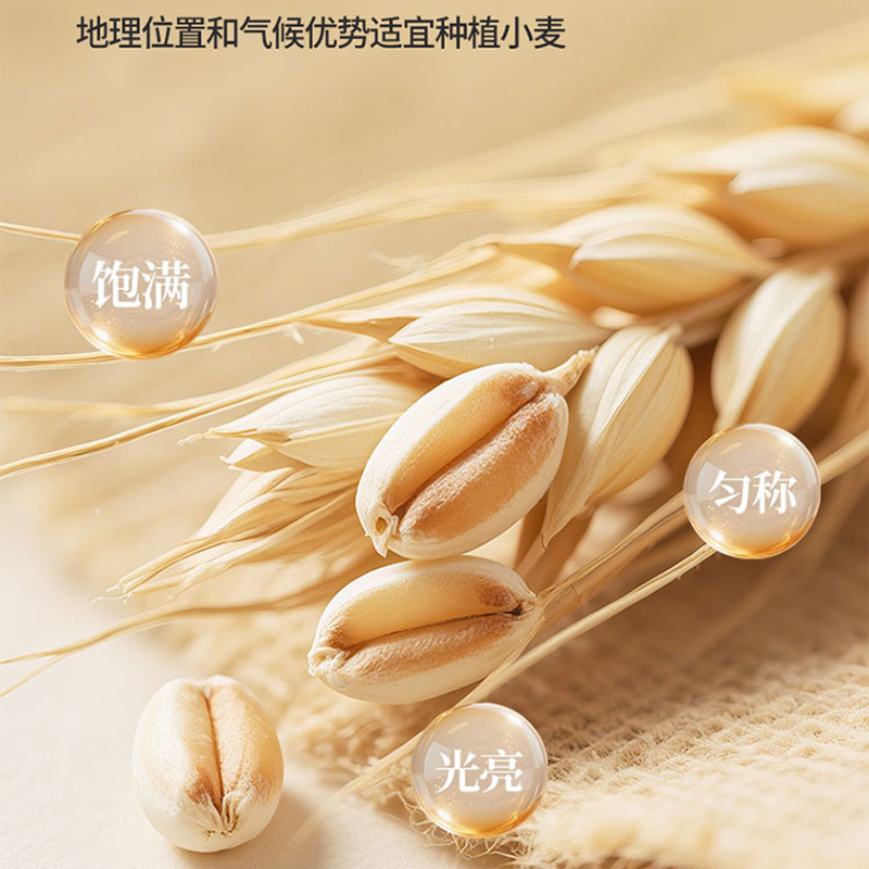 十月稻田 甄选新疆雪花粉(小麦粉)5kg高清大图