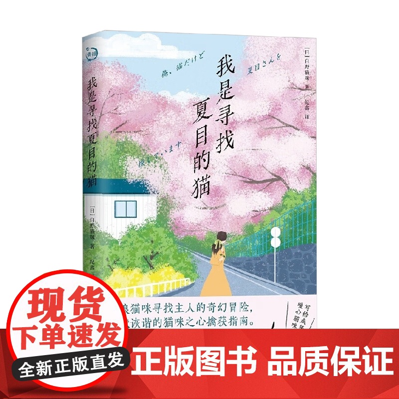 我是寻找夏目的猫 青鲤文库 白野猫咪 著 小说高清大图