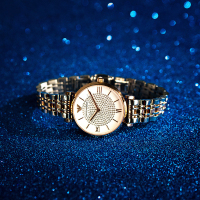 阿玛尼(EmporioArmani)满天星手表 钢制表带 圆形镶钻女士石英表轻奢时尚手表 AR1926
