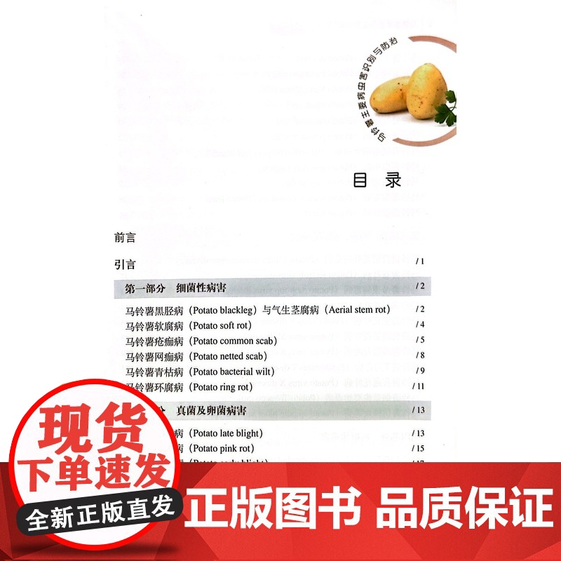 马铃薯主要病虫害识别与防治 张若芳 编 中国农业出版社9787109199866高清大图
