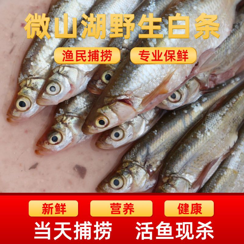 赛卡伊 新鲜白条餐条小刁子翘嘴鱼柳叶鱼白丝鱼现杀去内脏现发 大号装 两斤装