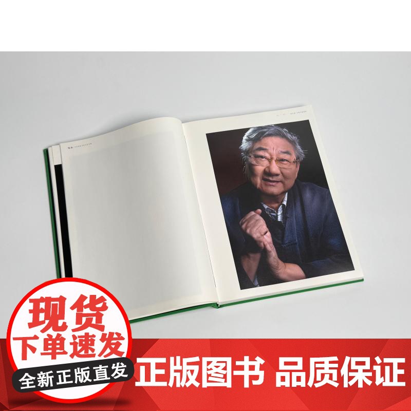 传承 当代海派书法名家肖像 陈昱燊著上海书画出版社书法理论图书高清大图