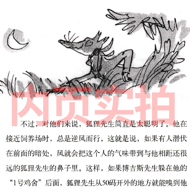 女巫 [正版]了不起的狐狸爸爸罗尔德达尔作品典藏7-15岁儿童文学读物故事书小学生二三四年级课外书明天出版注音查理和