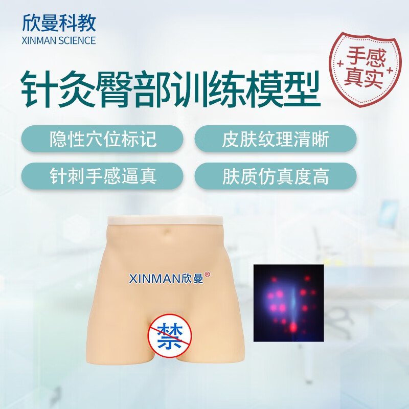 欣曼科教 针灸臀部训练模型 臀部针灸针刺扎针练习模型XM-ZC02