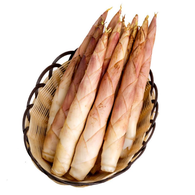 竹笋冬笋春笋雷笋尖子新鲜现挖蔬菜类浙