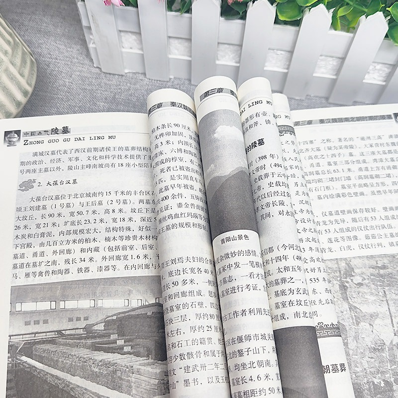 [正版]中国古代陵墓 中国传统民俗文化建筑系列 古代丧葬方式 秦始皇陵 三国帝陵 唐宋元明清时期的陵墓等不同的陵墓反映了