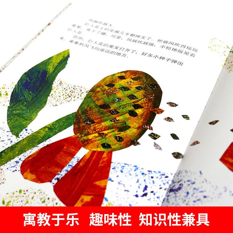 青蛙和蟾蜍 拼音版4册 [正版]信谊图画书小种子艾瑞卡尔 精装儿童绘本3-6-8周岁少幼儿亲子阅读故事书图画书籍 宝宝家