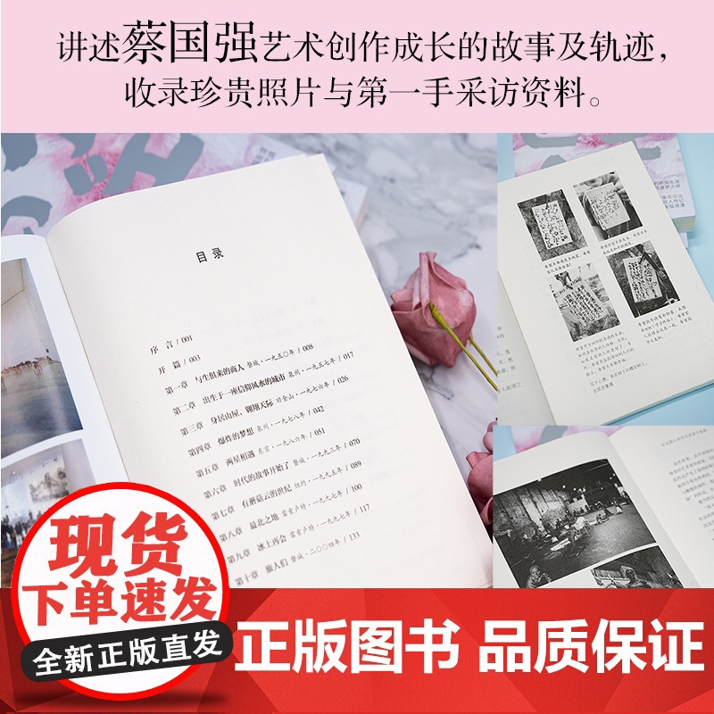 天空巨人 艺术家蔡国强与福岛的奇迹合作 双人传记 纪实文学 花城出版社高清大图